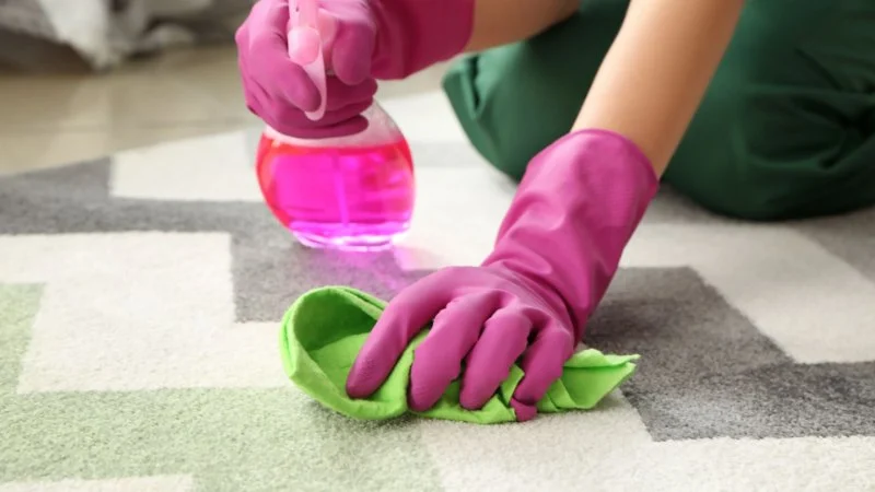 How to Make Your Carpet Last Longer with Proper Care and Maintenance Tips