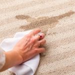 How to Remove Paint from Carpet Without Ruining It – Safe DIY Methods