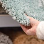 The Benefits of Organic Cotton and Wool Carpets for Your Home