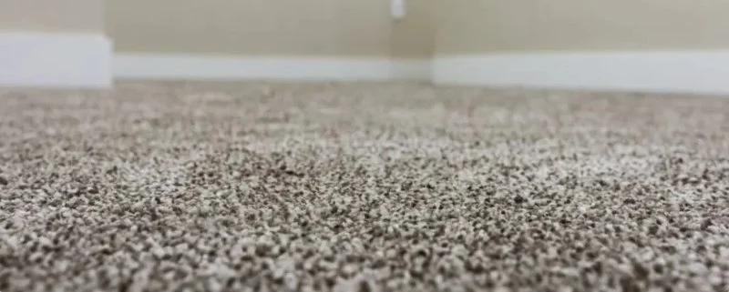How to Find Carpet Deals Near You and Save More