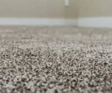 How to Find Carpet Deals Near You and Save More