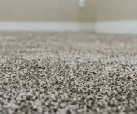How to Find Carpet Deals Near You and Save More